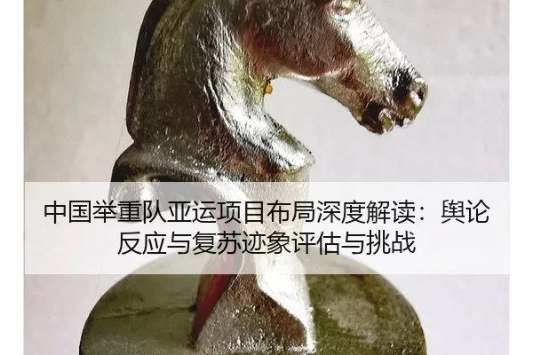 zhong-guo-ju-zhong-dui-ya-yun-xiang-mu-bu-ju-shen-du-jie-du-yu-lun-fan-ying-yu-fu-su-ji-xiang-ping-gu-yu-tiao-zhan-2-102.jpg